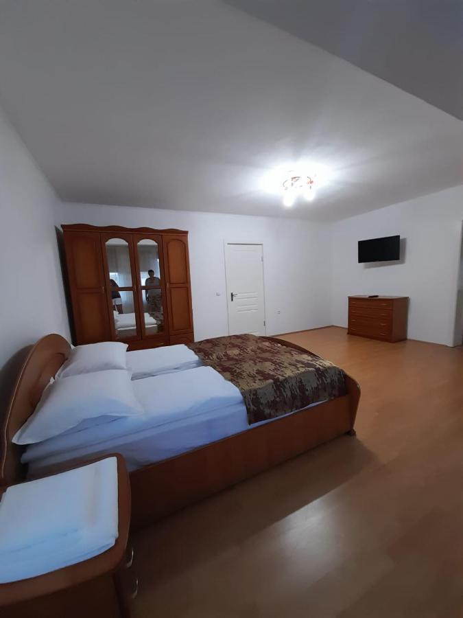 Hotel Vila Ge Sebeş Zewnętrze zdjęcie